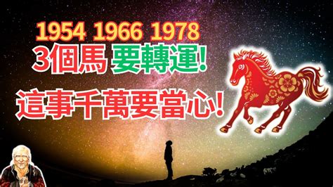 1978屬馬五行|【1978 五行】1978生肖屬馬：五行運勢全解析！